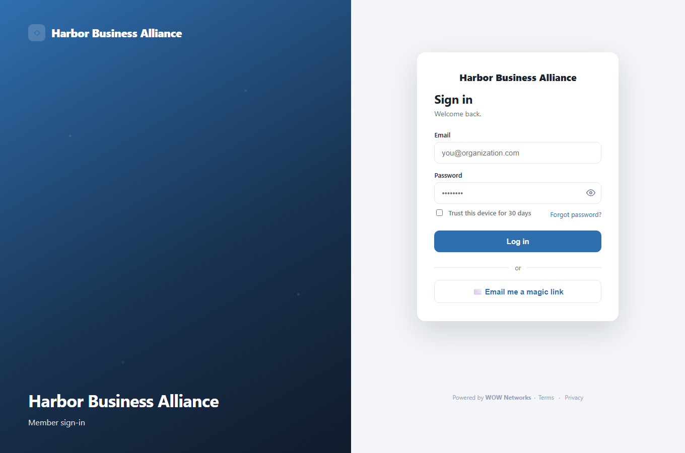 A network's own branded sign-in page, themed in its colors
